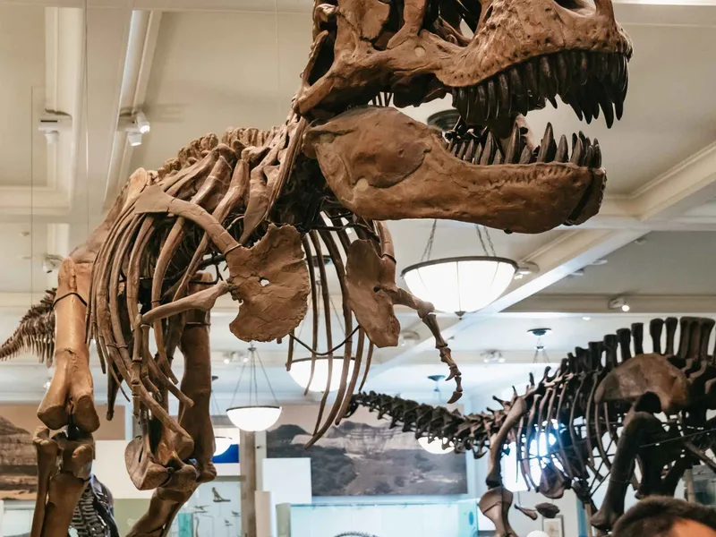 American Museum of Natural History Tickets Guide
